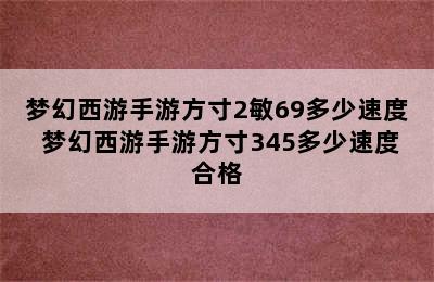 梦幻西游手游方寸2敏69多少速度 梦幻西游手游方寸345多少速度合格